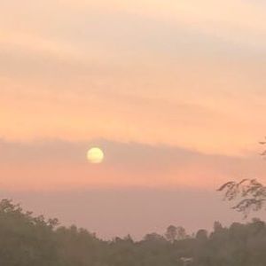 Meet your Posher, Addison